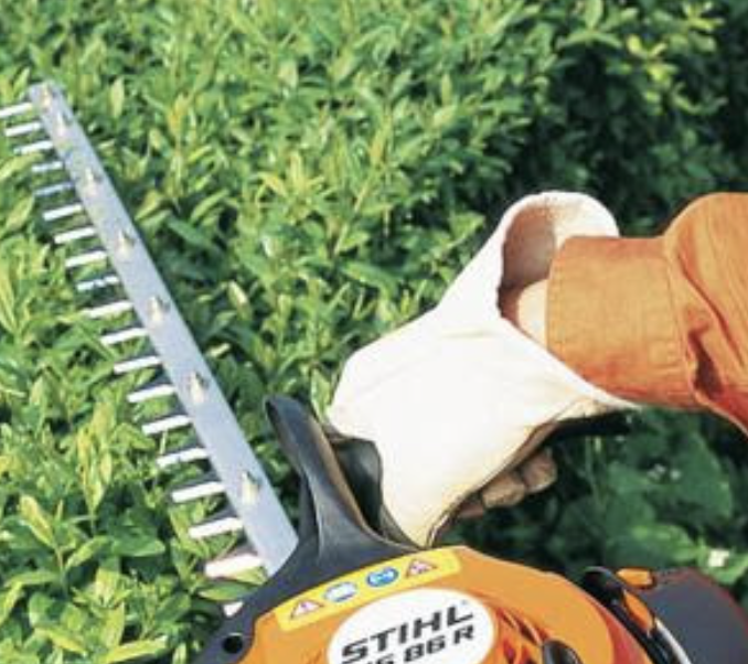 Élagage Tradition Saint-Forget